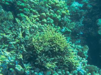 IMG_20250113_114134.jpg