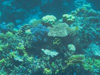 IMG_20250113_114140.jpg