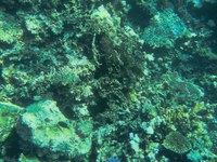 IMG_20250113_114157.jpg