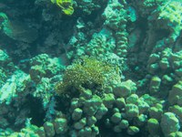 IMG_20250113_114208.jpg
