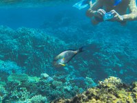 IMG_20250113_114234.jpg