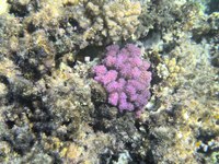 IMG_20250113_114244.jpg