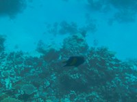 IMG_20250113_114401.jpg
