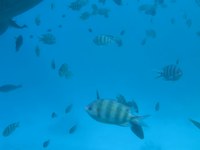 IMG_20250113_114807.jpg