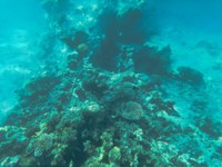 IMG_20250113_133750.jpg