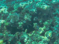 IMG_20250113_133810.jpg