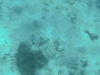 IMG_20250113_134841.jpg