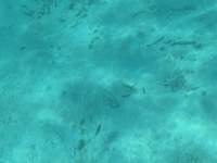 IMG_20250113_134903.jpg