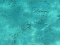 IMG_20250113_134906.jpg