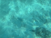 IMG_20250113_134930.jpg