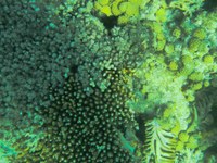IMG_20250113_135240.jpg