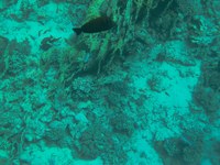 IMG_20250116_110658.jpg