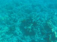IMG_20250116_110843.jpg