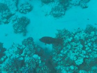 IMG_20250116_111319.jpg