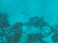 IMG_20250116_111356.jpg