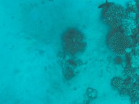 IMG_20250116_111435.jpg