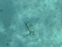 IMG_20250116_111824.jpg