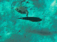 IMG_20250116_112053.jpg