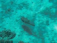 IMG_20250116_112112.jpg