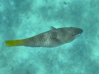 IMG_20250116_112154.jpg