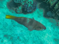 IMG_20250116_112158.jpg