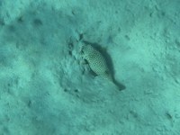 IMG_20250116_112210.jpg