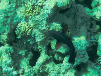 IMG_20250116_112249.jpg