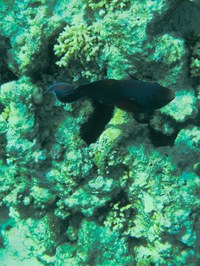 IMG_20250116_112259.jpg