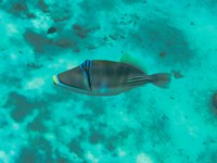 IMG_20250116_112401.jpg