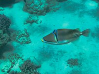 IMG_20250116_112405.jpg