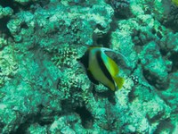 IMG_20250116_112412.jpg