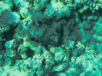 IMG_20250116_112624.jpg