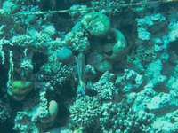 IMG_20250116_112753.jpg