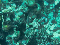 IMG_20250116_112757.jpg