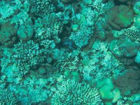 IMG_20250116_112955.jpg