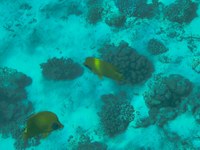 IMG_20250116_113107.jpg
