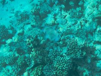 IMG_20250116_113217.jpg