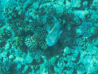 IMG_20250116_113220.jpg