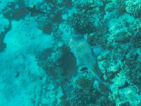 IMG_20250116_113231.jpg