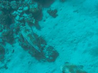 IMG_20250116_113256.jpg