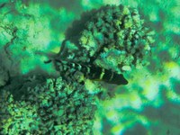 IMG_20250116_113630.jpg
