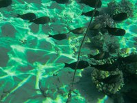 IMG_20250116_113645.jpg