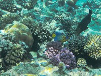 IMG_20250116_113706.jpg