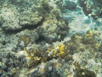 IMG_20250116_114116.jpg