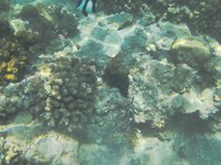 IMG_20250116_114206.jpg