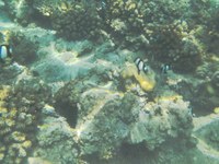 IMG_20250116_114210.jpg
