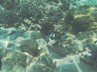 IMG_20250116_114215.jpg