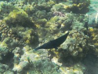 IMG_20250116_114342.jpg