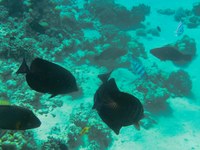 IMG_20250117_104025.jpg