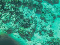 IMG_20250117_104054.jpg